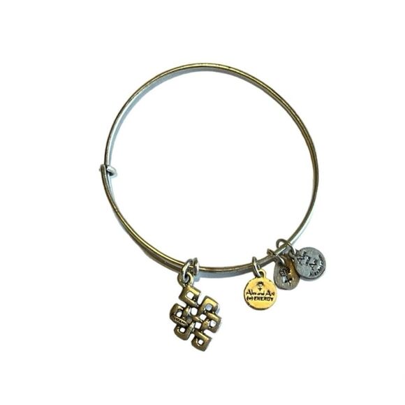 Alex and Ani Endless Knot Silver Charm Bangle Bracelet - Picture 4 of 10